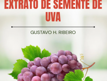 Seu Guia Completo do Extrato de Semente de Uva